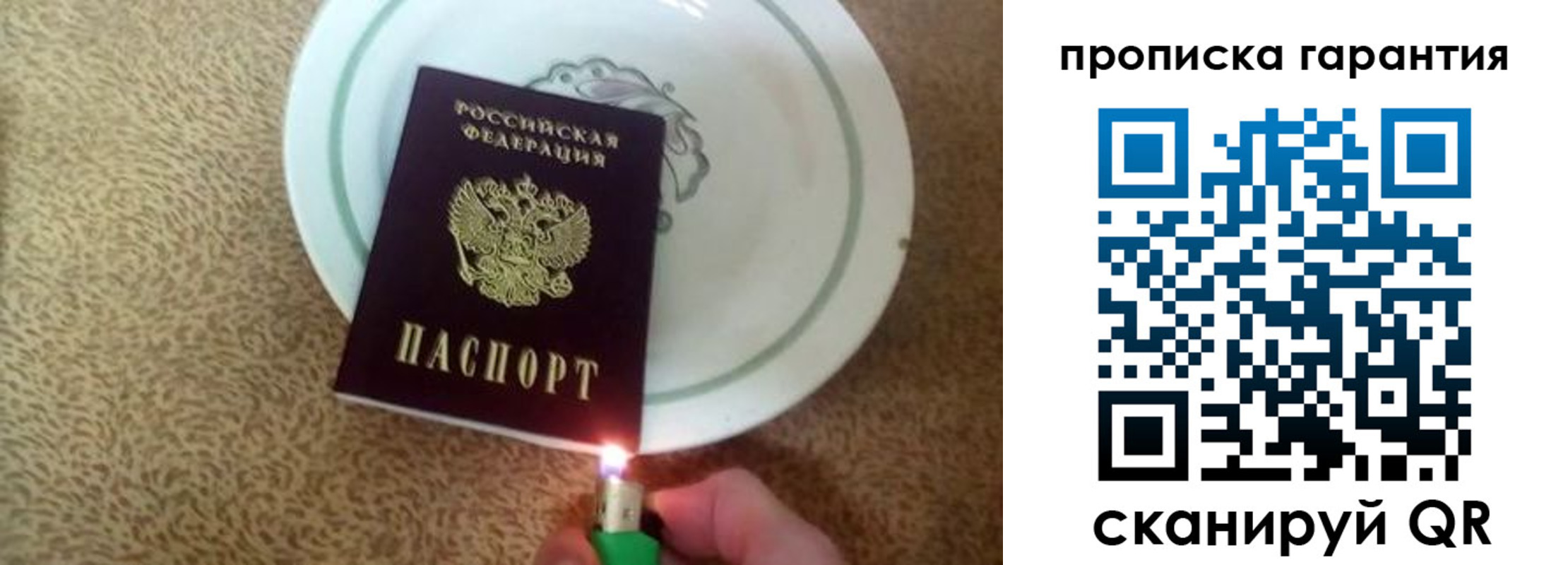 прописка гарантия в Нововоронеже